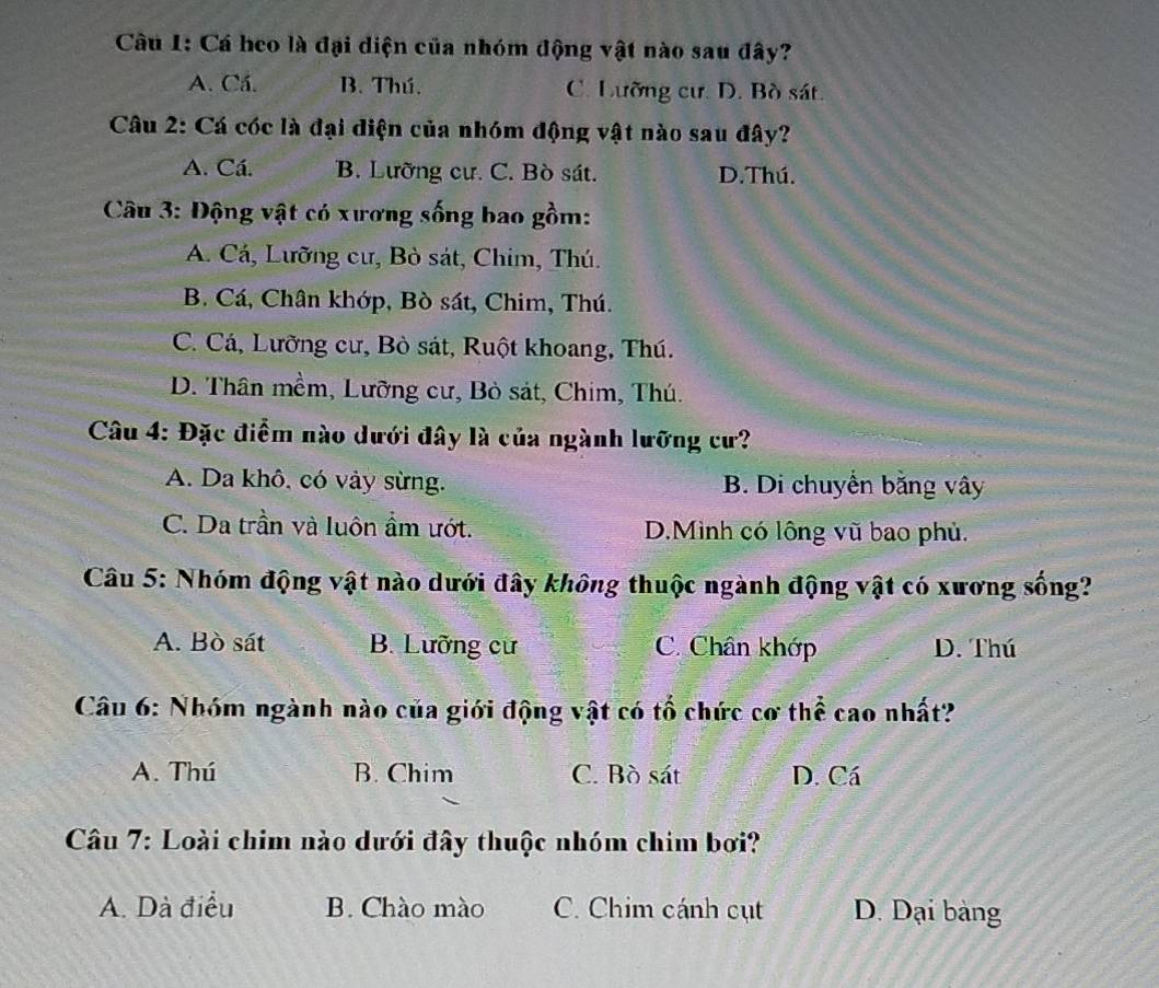 Cá heo là đại diện của nhóm động vật nào sau đây?
A. Cá. B. Thú. C. Lưỡng cư. D. Bò sát.
Câu 2: Cá cóc là đại diện của nhóm động vật nào sau đây?
A. Cá. B. Lưỡng cư. C. Bò sát. D.Thú.
* Câu 3: Động vật có xương sống bao gồm:
A. Cá, Lưỡng cư, Bò sát, Chim, Thú.
B. Cá, Chân khớp, Bò sát, Chim, Thú.
C. Cá, Lưỡng cư, Bò sát, Ruột khoang, Thú.
D. Thân mềm, Lưỡng cư, Bò sát, Chim, Thú.
Câu 4: Đặc điểm nào dưới đây là của ngành lưỡng cư?
A. Da khô, có vày sừng. B. Di chuyển bằng vây
C. Da trần và luôn ẩm ướt. D.Mình có lông vũ bao phủ.
Câu 5: Nhóm động vật nào dưới đây không thuộc ngành động vật có xương sống?
A. Bò sát B. Lưỡng cư C. Chân khớp D. Thú
Câu 6: Nhóm ngành nào của giới động vật có tổ chức cơ thể cao nhất?
A. Thú B. Chim C. Bò sát D. Cá
Câu 7: Loài chim nào dưới đây thuộc nhóm chim bơi?
A. Dà điều B. Chào mào C. Chim cánh cụt D. Dại bàng