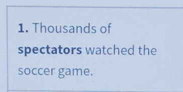 Thousands of 
spectators watched the 
soccer game.