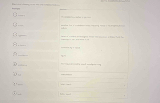 3 0= 14 QUESTIONS REMAiNvINg
Match the hollowing terms with the carrect defincions.
Prompts
1 nacherua micrescopic one-celled organisms
2 trauma
debris exudate that is loaded with dead and dying PMhis or neutrophihs; tissue
3 hyperemia
make up. In part, the white fluld death of nunerous neutrophils mixed with eaudaces or blood fluid that
4 achesion discontnuity of Sissue
5sdartorblrk injury
0seprcemia microorganisms in the blood; blood poisoning
7ρ Select match
8 i000 Select match
9(sb
Select march