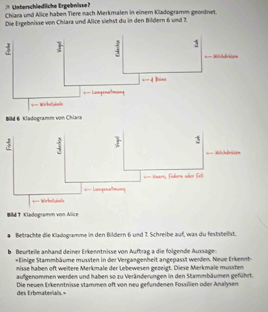 Unterschiedliche Ergebnisse? 
Chiara und Alice haben Tiere nach Merkmalen in einem Kladogramm geordnet. 
Die Ergebnisse von Chiara und Alice siehst du in den Bildern 6 und 7. 
Bild 6 Kladogramm von Chiara 
Bild 7 Kladogramm von Alice 
Betrachte die Kladogramme in den Bildern 6 und 7. Schreibe auf, was du feststellst. 
b Beurteile anhand deiner Erkenntnisse von Auftrag a die folgende Aussage: 
«Einige Stammbäume mussten in der Vergangenheit angepasst werden. Neue Erkennt- 
nisse haben oft weitere Merkmale der Lebewesen gezeigt. Diese Merkmale mussten 
aufgenommen werden und haben so zu Veränderungen in den Stammbäumen geführt. 
Die neuen Erkenntnisse stammen oft von neu gefundenen Fossilien oder Analysen 
des Erbmaterials.»