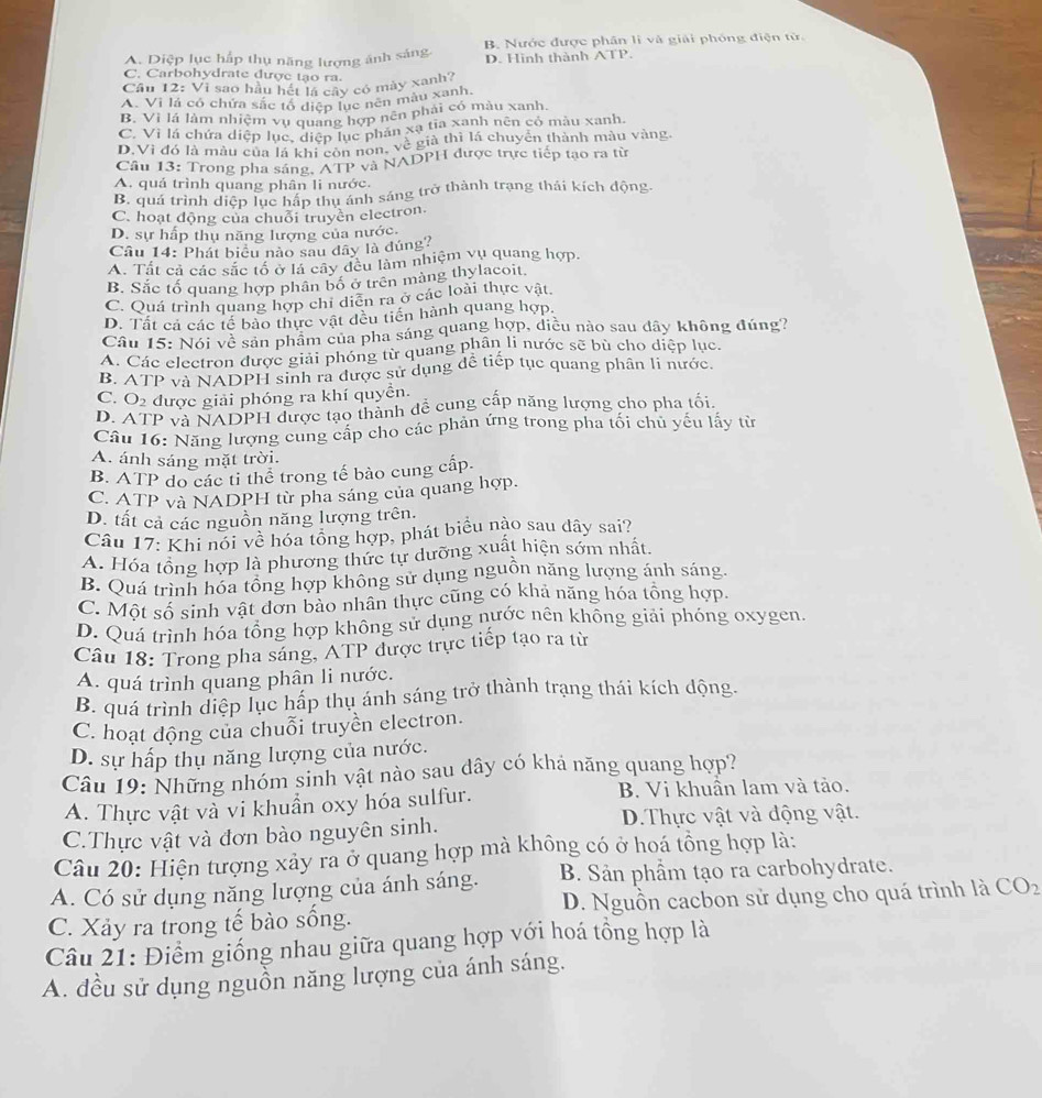 A. Diệp lục hấp thụ năng lượng ảnh sáng B. Nước được phần lì và giải phóng điện từ.
D. Hình thành ATP.
C. Carbohydrate được tạo ra.
Câu 12: Vì sao hầu hết lá cây có mày xanh?
A. Vì lá có chứa sắc tổ diệp lục nen mẫu xanh.
B. Vì lá làm nhiệm vụ quang hợp nên phải có màu xanh.
C. Vì lá chứa diệp lục, diệp lục phán xạ tia xanh nên có màu xanh.
D.Vì đó là màu của lá khi còn non, về già thì lá chuyển thành màu vàng.
Cầu 13: Trong pha sáng, ATP và NADPH được trực tiếp tạo ra từ
A. quá trình quang phân li nước.
B. quá trình diệp lục háp thu ảnh sáng trở thành trạng thái kích động.
C. hoạt động của chuỗi truyền electron.
D. sự hấp thụ năng lượng của nước.
Câu 14: Phát biêu nào sau dây là đúng?
A. Tất cả các sắc tổ ở lá cây đều làm nhiệm vụ quang hợp,
B. Sắc tổ quang hợp phân bố ở trên màng thylacoit.
C. Quá trình quang hợp chỉ diễn ra ở các loài thực vật.
D. Tất cả các tế bào thực vật đều tiến hành quang hợp.
Câu 15: Nói về sản phẩm của pha sáng quang hợp, diều nào sau dây không đúng?
A. Các electron được giải phóng từ quang phân li nước sẽ bù cho diệp lục.
B. ATP và NADPH sinh ra được sử dụng đề tiếp tục quang phân li nước.
C. O_2 : được giải phóng ra khí quyền.
D. ATP và NADPH được tạo thành đề cung cấp năng lượng cho pha tối.
Câu 16: Năng lượng cung cấp cho các phản ứng trong pha tối chủ yếu lấy từ
A. ánh sáng mặt trời.
B. ATP do các ti thể trong tế bào cung cấp.
C. ATP và NADPH từ pha sáng của quang hợp.
D. tất cả các nguồn năng lượng trên.
Câu 17: Khi nói về hóa tổng hợp, phát biểu nào sau dây sai?
A. Hóa tổng hợp là phương thức tự dưỡng xuất hiện sớm nhất.
B. Quá trình hóa tổng hợp không sử dụng nguồn năng lượng ánh sáng.
C. Một số sinh vật dơn bảo nhân thực cũng có khả năng hóa tổng hợp.
D. Quá trình hóa tổng hợp không sử dụng nước nên không giải phóng oxygen.
Câu 18: Trong pha sáng, ATP được trực tiếp tạo ra từ
A. quá trình quang phân li nước.
B. quá trình diệp lục hấp thụ ánh sáng trở thành trạng thái kích động.
C. hoạt động của chuỗi truyền electron.
D. sự hấp thụ năng lượng của nước.
Câu 19: Những nhóm sinh vật nào sau dây có khả năng quang hợp?
A. Thực vật và vi khuẩn oxy hóa sulfur. B. Vi khuân lam và tảo.
C.Thực vật và đơn bào nguyên sinh. D.Thực vật và động vật.
Câu 20: Hiện tượng xảy ra ở quang hợp mà không có ở hoá tồng hợp là:
A. Có sử dụng năng lượng của ánh sáng. B. Sản phẩm tạo ra carbohydrate.
C. Xảy ra trong tế bào sống. D. Nguồn cacbon sử dụng cho quá trình là CO_2
Câu 21: Điểm giống nhau giữa quang hợp với hoá tổng hợp là
A. đều sử dụng nguồn năng lượng của ánh sáng.