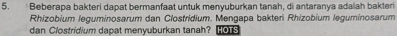 Beberapa bakteri dapat bermanfaat untuk menyuburkan tanah, di antaranya adalah bakteri 
Rhizobium leguminosarum dan Clostridium. Mengapa bakteri Rhizobium leguminosarum 
dan Clostridium dapat menyuburkan tanah? HOTS