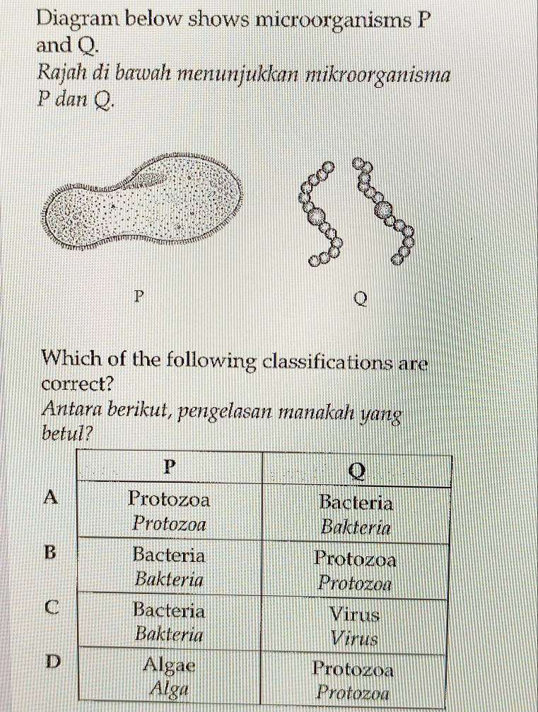 Diagram below shows microorganisms P
and Q. 
Rajah di bawah menunjukkan mikroorganisma
P dan Q.
P
Q
Which of the following classifications are 
correct? 
Antara berikut, pengelasan manakah yang 
betul? 
B