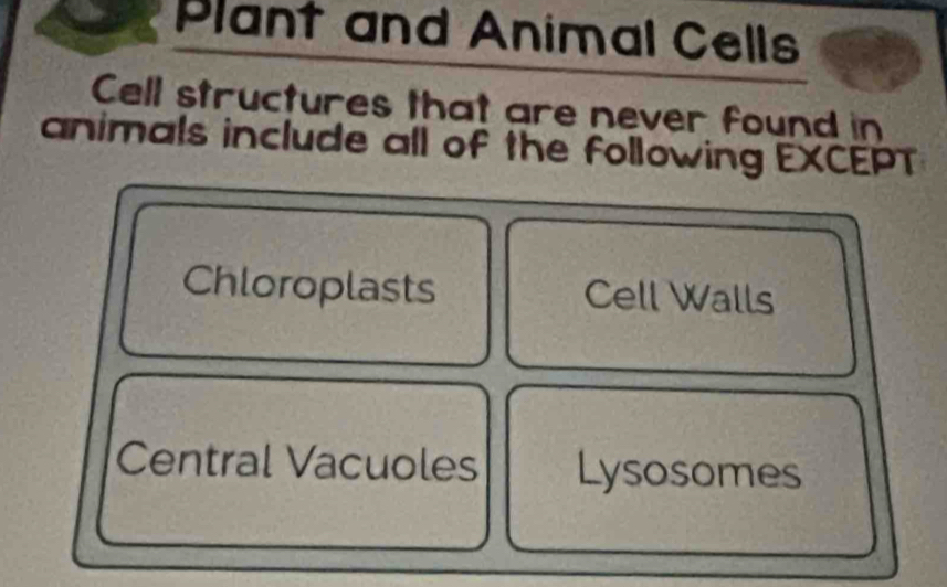 Plant and Animal Cells
Cell structures that are never found in
animals include all of the following EXCEPT
Chloroplasts Cell Walls
Central Vacuoles Lysosomes