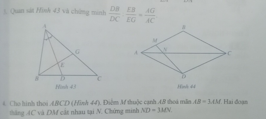 Quan sát Hình 43 và chứng minh  DB/DC : EB/EG = AG/AC . 
Hình 43 Hình 44
4. Cho hình thoi ABCD (Hình 44). Điểm M thuộc cạnh AB thoả mãn AB=3AM. Hai đoạn 
thăng AC và DM cắt nhau tại N. Chứng minh ND=3MN.