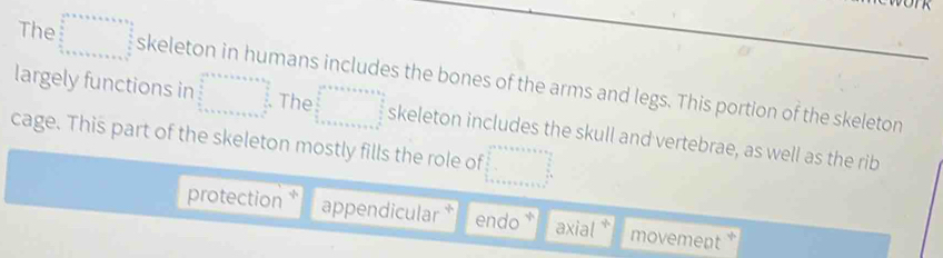 The □ 
largely functions in skeleton in humans includes the bones of the arms and legs. This portion of the skeleton
... . The (□)^ skeleton includes the skull and vertebrae, as well as the rib
cage. This part of the skeleton mostly fills the role of
protection appendicular endo axial movement *