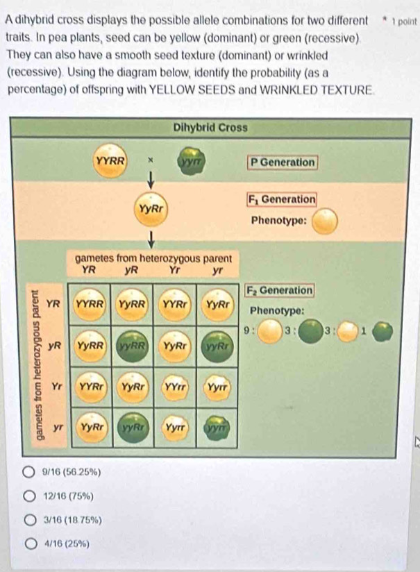 A dihybrid cross displays the possible allele combinations for two different * 1 point
traits. In pea plants, seed can be yellow (dominant) or green (recessive).
They can also have a smooth seed texture (dominant) or wrinkled
(recessive). Using the diagram below, identify the probability (as a
percentage) of offspring with YELLOW SEEDS and WRINKLED TEXTURE.
Dihybrid Cross
YYRR x yyrr P Generation
F_1 Generation
YyRr
Phenotype:
gametes from heterozygous parent
YR yR Yr yr
F_2 Generation
YR YYRR YyRR YYRr YyRr Phenotype:
9 : 3 : 3
yR YyRR yyRR YyRr yyRr
Yr YYRr YyRr YYrr Yyrr
yr YyRr yyRr Yyrr yyr
9/16 (56.25%)
12/16 (75%)
3/16 (18 75%)
4/16 (25%)