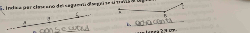 Indica per ciascuno dei seguenti disegni se si tratta di segili 
C 
_ 
B 
A 
b. 
_ 
lungo 2,9 cm.