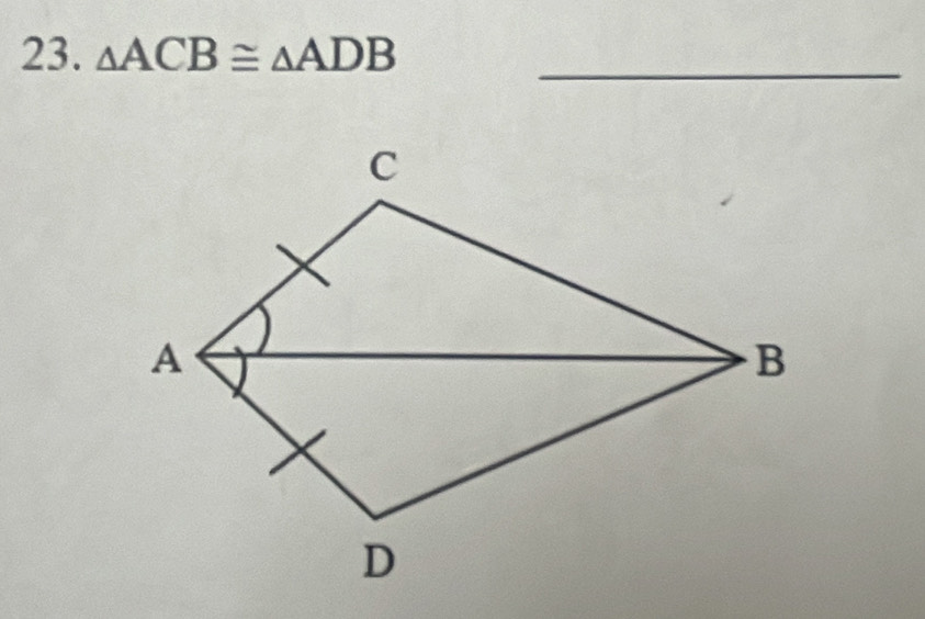 △ ACB≌ △ ADB _