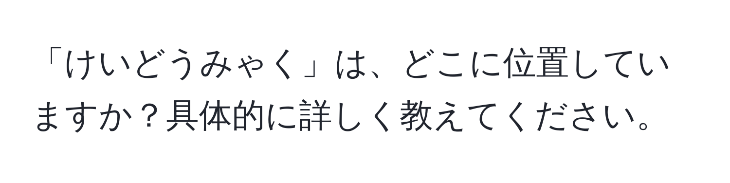 「けいどうみゃく」は、どこに位置していますか？具体的に詳しく教えてください。