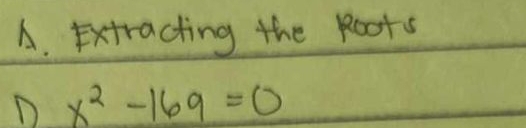 Extracting the Roors 
D x^2-169=0