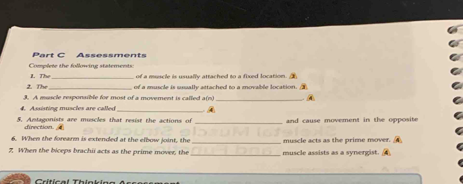 Assessments 
Complete the following statements: 
1. The_ of a muscle is usually attached to a fixed location. 
2. The_ of a muscle is usually attached to a movable location. 
3. A muscle responsible for most of a movement is called a(n) _. 
4. Assisting muscles are called_ 
。 
5. Antagonists are muscles that resist the actions of _and cause movement in the opposite 
direction. 
6. When the forearm is extended at the elbow joint, the _muscle acts as the prime mover. 
7. When the biceps brachii acts as the prime mover, the _muscle assists as a synergist.