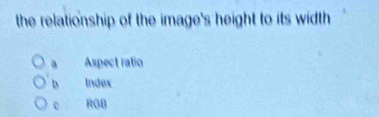 the relationship of the image's height to its width
a Aspect ratio
b Index
e RGB