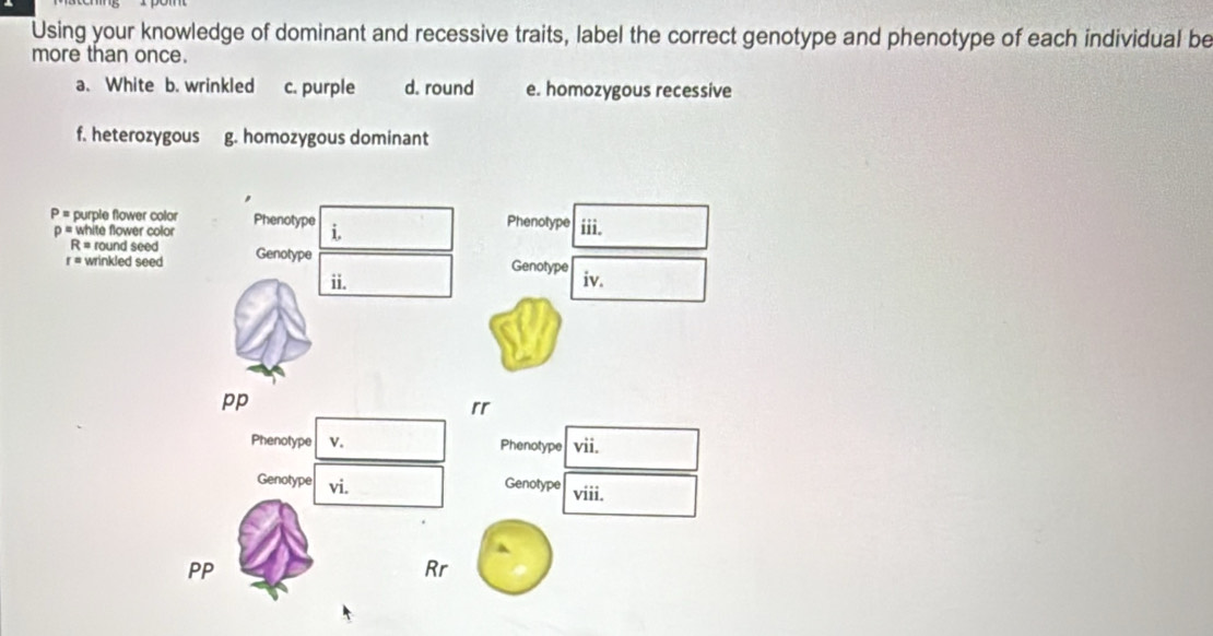 Solved: Using your knowledge of dominant and recessive traits, label ...