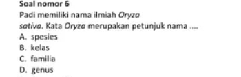 Soal nomor 6
Padi memiliki nama ilmiah Oryzø
sɑtiva. Kata Oryzø merupakan petunjuk nama ....
A. spesies
B. kelas
C. familia
D. genus