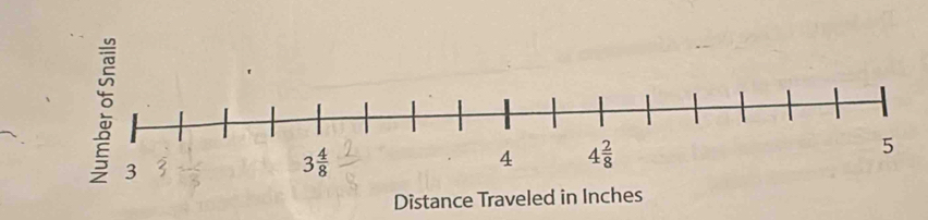 Distance Traveled in Inches