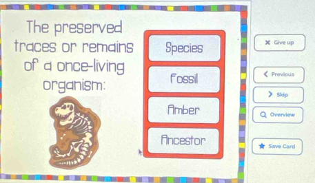 The preserved
traces or remains Species Give up
of a once-living Fossil Previous
organism:
5kip
Amber Overview
Ancestor Save Card