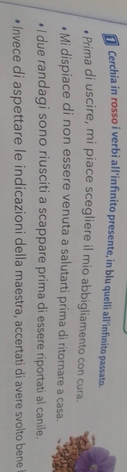 € Cerchia in rosso i verbi all’infínito presente, in blu quelli all’infínito passato. 
Prima di uscire, mi piace scegliere il mio abbigliamento con cura. 
Mi dispiace di non essere venuta a salutarti prima di ritornare a casa. 
l due randagi sono riusciti a scappare prima di essere riportati al canile. 
Invece di aspettare le indicazioni della maestra, accertati di avere svolto bene I