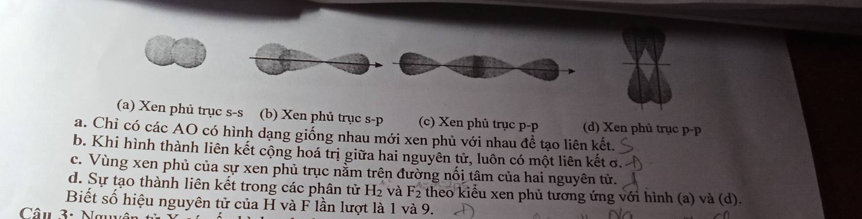 (a) Xen phủ trục s-s (b) Xen phủ trục s-p (c) Xen phủ trục p-p (d) Xen phủ trục p-p
a. Chỉ có các AO có hình dạng giống nhau mới xen phủ với nhau để tạo liên kết.
b. Khi hình thành liên kết cộng hoá trị giữa hai nguyên tử, luôn có một liên kết σ.
c. Vùng xen phủ của sự xen phủ trục nằm trên đường nối tâm của hai nguyên tử.
d. Sự tạo thành liên kết trong các phân tử H_2 và F_2 theo kiểu xen phủ tương ứng với hình (a) và (d).
Biết số hiệu nguyên tử của H và F lần lượt là 1 và 9.
Câu 3: Nơ