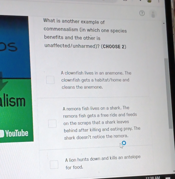 What is another example of
commensalism (in which one species
benefits and the other is
unaffected/unharmed)? (CHOOSE 2)
A clownfish lives in an anemone. The
clownfish gets a habitat/home and
cleans the anemone.
lism
A remora fish lives on a shark. The
remora fish gets a free ride and feeds
on the scraps that a shark leaves
# YouTube behind after killing and eating prey. The
shark doesn't notice the remora.
A lion hunts down and kills an antelope
for food.