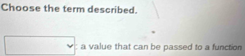 Choose the term described.
□ vee : a value that can be passed to a function