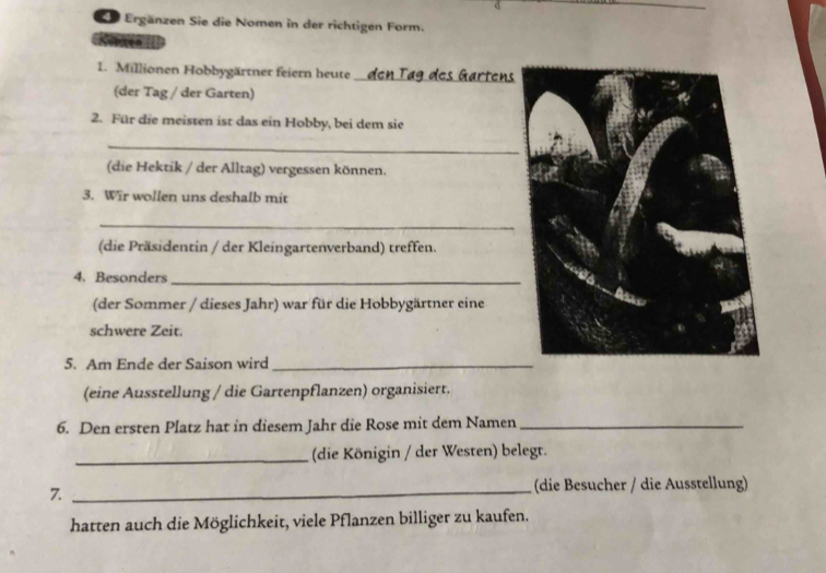 Se Ergänzen Sie die Nomen in der richtigen Form. 
Soen II 
1. Millionen Hobbygärtner feiern heute 
_ 
(der Tag / der Garten) 
2. Für die meisten ist das ein Hobby, bei dem sie 
_ 
(die Hektik / der Alltag) vergessen können. 
3. Wir wollen uns deshalb mit 
_ 
(die Präsidentin / der Kleingartenverband) treffen. 
4. Besonders_ 
(der Sommer / dieses Jahr) war für die Hobbygärtner eine 
schwere Zeit. 
5. Am Ende der Saison wird_ 
(eine Ausstellung / die Gartenpflanzen) organisiert. 
6. Den ersten Platz hat in diesem Jahr die Rose mit dem Namen_ 
_(die Königin / der Westen) belegt. 
7. _(die Besucher / die Ausstellung) 
hatten auch die Möglichkeit, viele Pflanzen billiger zu kaufen.