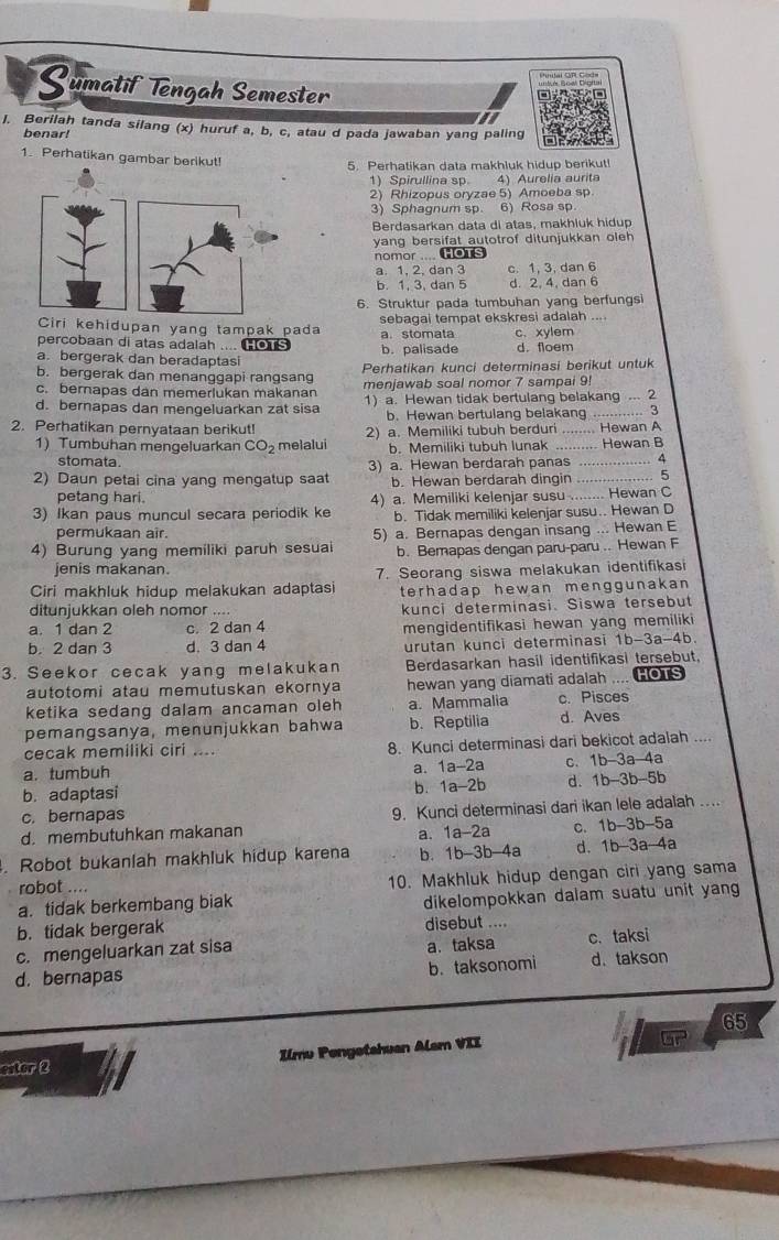 Sumatif Tengah Semester
I. Berilah tanda silang (x) huruf a, b, c, atau d pada jawaban yang paling
benar!
1. Perhatikan gambar berikut!
5. Perhatikan data makhluk hidup berikut!
1) Spirullina sp. 4) Aurelia aurita
2) Rhizopus oryzae 5) Amoeba sp
3) Sphagnum sp. 6) Rosa sp
Berdasarkan data di atas, makhluk hidup
yang bersifat autotrof ditunjukkan oleh 
nomor ... HOTS
a. 1, 2, dan 3 c. 1, 3, dan 6
b. 1, 3, dan 5 d. 2, 4, dan 6
6. Struktur pada tumbuhan yang berfungs
Ciri kehidupan yang tampak pada sebagai tempat ekskresi adalah ....
percobaan di atas adalah .... HOTS a. stomata c. xylem
a. bergerak dan beradaptasi b. palisade d. floem
b. bergerak dan menanggapi rangsang Perhatikan kunci determinasi berikut untuk
c. berapas dan memerlukan makanan menjawab soal nomor 7 sampai 9!
d. bernapas dan mengeluarkan zat sisa 1) a. Hewan tidak bertulang belakang ... 2
b. Hewan bertulang belakang ... 3
2. Perhatikan pernyataan berikut! 2) a. Memiliki tubuh berduri _Hewan A
1) Tumbuhan mengeluarkan CO_2 melalui b. Memiliki tubuh lunak Hewan B
stomata 3) a. Hewan berdarah panas _4
2) Daun petai cina yang mengatup saat b. Hewan berdarah dingin _5
petang hari. 4) a. Memiliki kelenjar susu ..... ... Hewan C
3) Ikan paus muncul secara periodik ke b. Tidak memiliki kelenjar susu.. Hewan D
permukaan air.
4) Burung yang memiliki paruh sesuai 5) a. Bernapas dengan insang ... Hewan E
b. Bemapas dengan paru-paru .. Hewan F
jenis makanan.
Ciri makhluk hidup melakukan adaptasi 7. Seorang siswa melakukan identifikasi
terhadap hewan menggunakan 
ditunjukkan oleh nomor ....
a. 1 dan 2 c. 2 dan 4 kunci determinasi. Siswa tersebut
mengidentifikasi hewan yang memiliki
b. 2 dan 3 d. 3 dan 4 urutan kunci determinasi 1b-3a-4b.
3. Seekor cecak yang melakukan Berdasarkan hasil identifikasi tersebut,
autotomi atau memutuskan ekornya hewan yang diamati adalah .... Hous
ketika sedang dalam ancaman oleh a. Mammalia c. Pisces
pemangsanya, menunjukkan bahwa b. Reptilia d. Aves
cecak memiliki ciri .... 8. Kunci determinasi dari bekicot adalah ....
a. tumbuh a. 1a-2a c. 1b-3a-4a
b. adaptasi b. 1a-2b d. 1b-3b-5b
c. bernapas
d. membutuhkan makanan 9. Kunci determinasi dari ikan lele adalah ....
a. 1a-2a c. a 1b-3b -5a
. Robot bukanlah makhluk hidup karena b. 1b-3b-4a d. 1b- 3a-4a
robot .... 10. Makhluk hidup dengan ciri yang sama
a. tidak berkembang biak dikelompokkan dalam suatu unit yang
b. tidak bergerak disebut ....
a. taksa
c. mengeluarkan zat sisa c. taksi
b. taksonomi
d. bernapas d. takson
65
extor 2 Ilmu Pongetahuan Alam VII
overline □ r