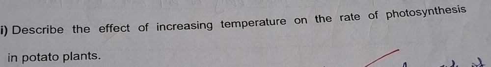 Describe the effect of increasing temperature on the rate of photosynthesis 
in potato plants.