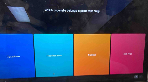 Which organelle belongs in plant cells only?
Cytoplasm Mitochondrion Nucleus Cell Wall