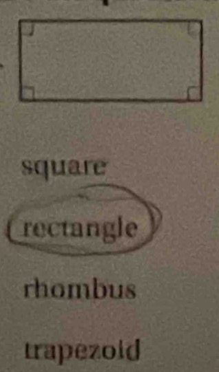 square
rectangle
rhombus
trapezold