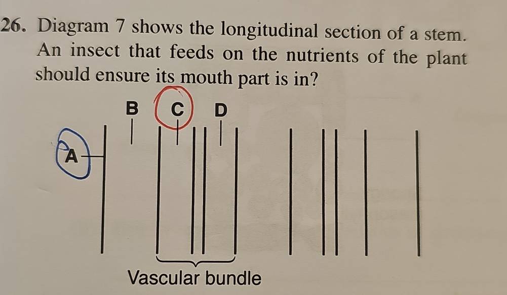 Diagram 7 shows the longitudinal section of a stem.
An insect that feeds on the nutrients of the plant
should ensure its mouth part is in?
B C D
À
Vascular bundle