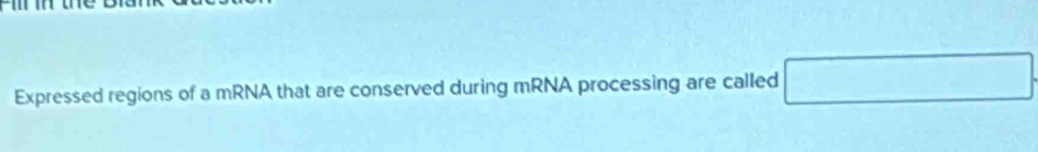 Expressed regions of a mRNA that are conserved during mRNA processing are called □.