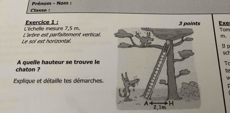 Prénom - Nom : 
Classe : 
Exercice 1 : Exe 
L'échelle mesure 7,5 m.Tom 
L’arbre est parfaitement vertical.
m. 
Le sol est horizontal. 
Il p 
sch 
A quelle hauteur se trouve leTc 
chaton ?te 
Explique et détaille tes démarches. 
V