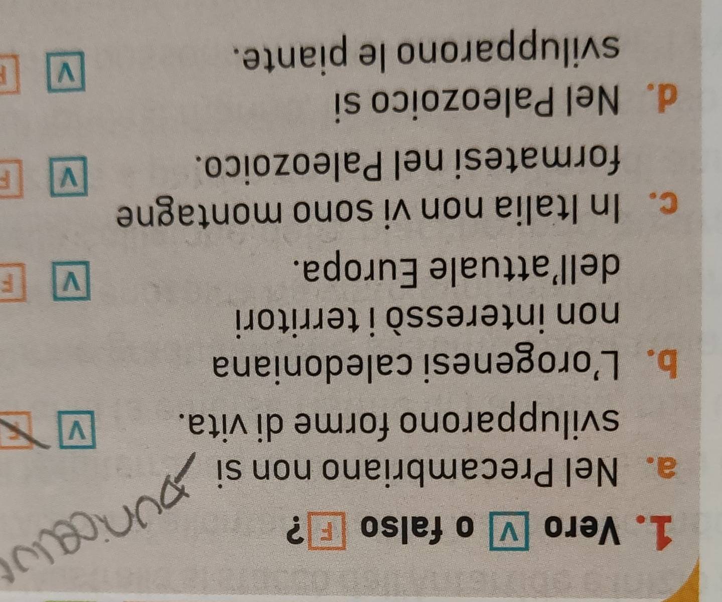 Vero □ o falso ?
a. Nel Precambriano non si
svilupparono forme di vita.
V
b. L’orogenesi caledoniana
non interessò i territori
dell’attuale Europa.
V F
c. In Italia non vi sono montagne
formatesi nel Paleozoico.
V
d. Nel Paleozoico si
svilupparono le piante.
V a