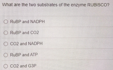 What are the two substrates of the enzyme RUBISCO?
RuBP and NADPH
RuBP and CO2
CO2 and NADPH
RuBP and ATP
CO2 and G3P