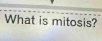 What is mitosis?