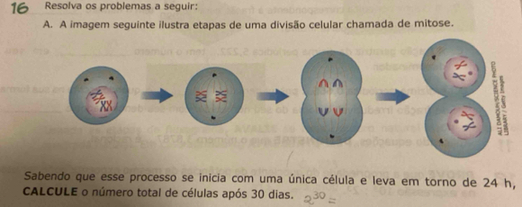 Resolva os problemas a seguir: 
A. A imagem seguinte ilustra etapas de uma divisão celular chamada de mitose. 
Sabendo que esse processo se inicia com uma única célula e leva em torno de 24 h, 
CALCULE o número total de células após 30 dias.