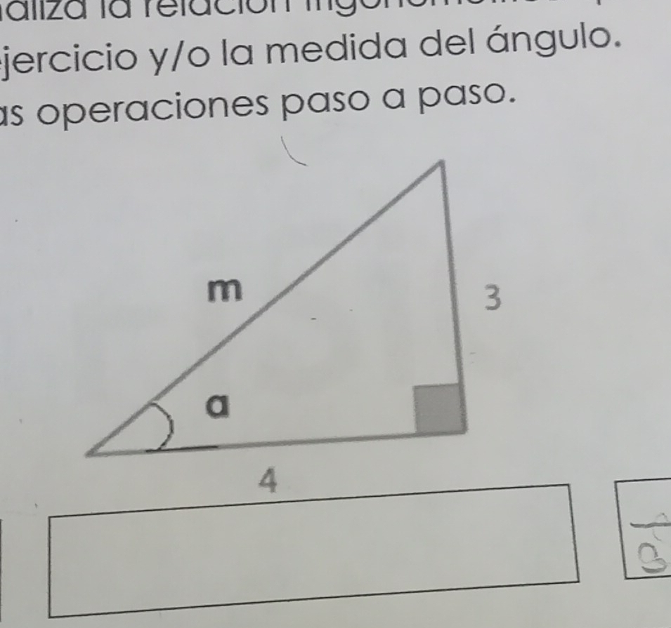 aliza la relación lng 
jercicio y/o la medida del ángulo. 
s operaciones paso a paso.