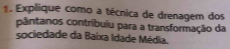 Explique como a técnica de drenagem dos 
pântanos contribuiu para a transformação da 
sociedade da Baixa Idade Média.