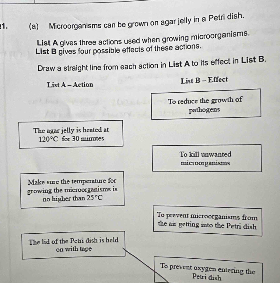 Microorganisms can be grown on agar jelly in a Petri dish. 
List A gives three actions used when growing microorganisms. 
List B gives four possible effects of these actions. 
Draw a straight line from each action in List A to its effect in List B. 
List A - Action List B - Effect 
To reduce the growth of 
pathogens 
The agar jelly is heated at
120°C for 30 minutes
To kill unwanted 
microorganisms 
Make sure the temperature for 
growing the microorganisms is 
no higher than 25°C
To prevent microorganisms from 
the air getting into the Petri dish 
The lid of the Petri dish is held 
on with tape 
To prevent oxygen entering the 
Petri dish