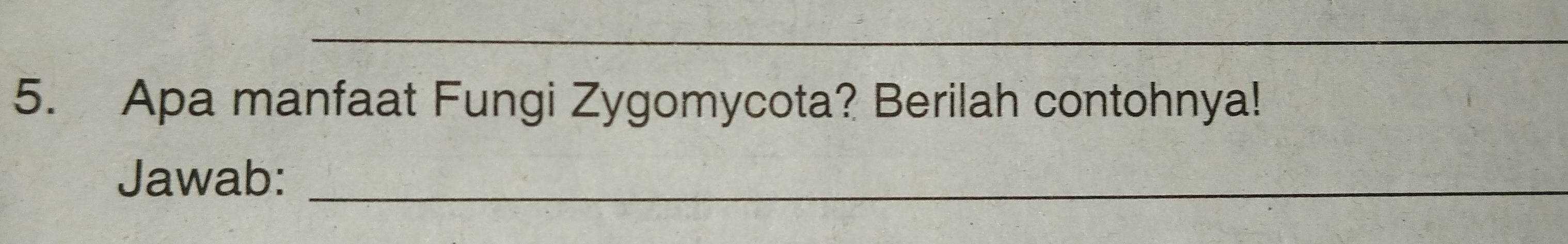 Apa manfaat Fungi Zygomycota? Berilah contohnya! 
Jawab:_