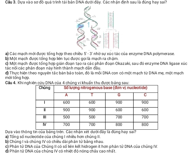 Dựa vào sơ đồ quá trình tái bản DNA dưới đây. Các nhận định sau là đúng hay sai?

a) Các mạch mới được tổng hợp theo chiều 5'-3' nhờ sự xúc tác của enzyme DNA polymerase.
b) Một mạch được tổng hợp liên tục được gọi là mạch ra chậm.
c) Một mạch được tổng hợp gián đoạn tạo ra các phân đoạn Okazaki, sau đó enzyme DNA ligase xúc
tác nối các phân đoạn này hình thành mạch dẫn đầu.
d) Thực hiện theo nguyên tắc bán bảo toàn, đó là mỗi DNA con có một mạch từ DNA mẹ, một mạch
mới tổng hợp.
Câu 4. Khi n
Dựa vào thông tin của bảng trên. Các nhận xét dưới đây là đúng hay sai?
a) Tổng số nucleotide của chủng I nhiều hơn chủng II.
b) Chủng I và chủng IV có chiều dài phân tử bằng nhau.
c) Phân tử DNA của Chủng II có số liên kết hidrogen ít hơn phân tử DNA của chủng IV.
d) Phân tử DNA của chủng IV có nhiệt đô nóng chảy cao nhất.