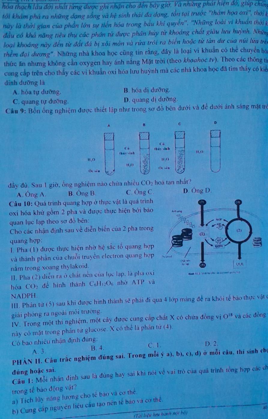 hóa thạch lâu đời nhất từng được ghi nhận cho đến bây giờ. Và những phát hiện đó, giúp chứng
tôi khảm phá ra những dạng sống và hệ sinh thái đa dạng, tồn tại trước ''thảm họa oxi'', thờik
này là thời gian của phần lớn sự tiến hóa trong bầu khí quyển''. ''Những loài vi khuẩn thời k
đầu có khả năng tiêu thụ các phân tử được phân húy từ khoáng chất giàu lưu huỳnh. Những
loại khoáng này đến từ đất đá bị xối mòn và rửa trôi ra biển hoặc từ tàn dư của núi lửa trên
thềm đại đương". Những nhà khoa học cũng tin rằng, đây là loại vi khuẩn có thể chuyển hóa
thức ăn nhưng không cần oxygen hay ánh nắng Mặt trời (theo khoahoc.tv). Theo các thông ti
cung cấp trên cho thấy các vi khuẩn oxi hóa lưu huỳnh mà các nhà khoa học đã tìm thấy có kiển
dinh dưỡng là
A. hóa tự dưỡng. B. hóa dị dưỡng.
C. quang tự dưỡng. D. quang dị dưỡng.
Câu 9: Bốn ổng nghiệm được thiết lập như trong sơ đồ bên dưới và để dưới ánh sáng mặt trò
đầy đủ. Sau 1 giờ, ống nghiệm nào chứa nhiều CO_2 hoà tan nhất?
A. Ông A. B. Ông B. C. Ông C. D. Ông D.
Câu 10: Quá trình quang hợp ở thực vật là quá trình
oxi hóa khử gồm 2 pha và được thực hiện bởi bào
quan lục lạp theo sơ đồ bên:
Cho các nhận định sau về diễn biến của 2 pha trong
quang hợp:
I. Pha (1) được thực hiện nhờ hệ sắc tố quang hợp
và thành phần của chuỗi truyền electron quang hợp
nằm trong xoang thylakoid.
II. Pha (2) diễn ra ở chất nền của lục lạp, là pha oxi
hóa CO_2 để hình thành C_6H_12O_6 nhờ ATP và
NADPH.
III Phân tử (5) sau khi được hình thành sẽ phải đi qua 4 lớp màng để ra khỏi tế bảo thực vật ở
giải phóng ra ngoài môi trường.
IV. Trong một thí nghiệm, một cây được cung cấp chất X có chứa đồng vị O^(18) và các đồng
này có mặt trong phân tử glucose. X có thể là phân tử (4).
Có bao nhiêu nhận định đúng:
A. 3. B. 4. C. 1. D. 2.
PHÀN II. Câu trắc nghiệm đúng sai. Trong mỗi ý a), b), c), d) ở mỗi câu, thí sính chọ
đúng hoặc sai.
Câu 1: Mỗi nhận định sau là đúng hay sai khi nói về vai trò của quả trình tổng hợp các ch
trong tế bảo động vật?
a) Tích lủy năng lượng cho tế bào và cơ thể.
b) Cung cấp nguyên liệu cầu tạo nên tế bào và cơ thế,
40
(Tài liệu hưru hành nội bộ)