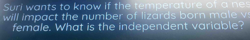Suri wants to know if the temperature of a nes 
will impact the number of lizards born male vs 
female. What is the independent variable?