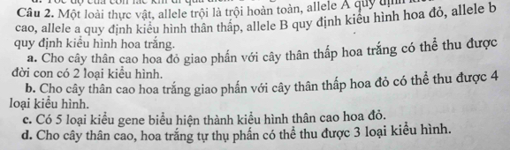 Một loài thực vật, allele trội là trội hoàn toàn, allele ÁA quy địh
cao, allele a quy định kiêu hình thân tháp, allele B quy định kiêu hình hoa đỏ, allele b
quy định kiểu hình hoa trắng.
a. Cho cây thân cao hoa đỏ giao phần với cây thân thấp hoa trắng có thể thu được
đời con có 2 loại kiều hình.
b. Cho cây thân cao hoa trắng giao phẩn với cây thân thấp hoa đỏ có thể thu được 4
loại kiểu hình.
c. Có 5 loại kiểu gene biểu hiện thành kiểu hình thân cao hoa đỏ.
d. Cho cây thân cao, hoa trắng tự thụ phần có thể thu được 3 loại kiểu hình.