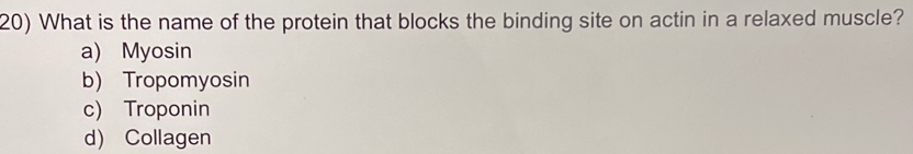 What is the name of the protein that blocks the binding site on actin in a relaxed muscle?
a) Myosin
b) Tropomyosin
c) Troponin
d) Collagen