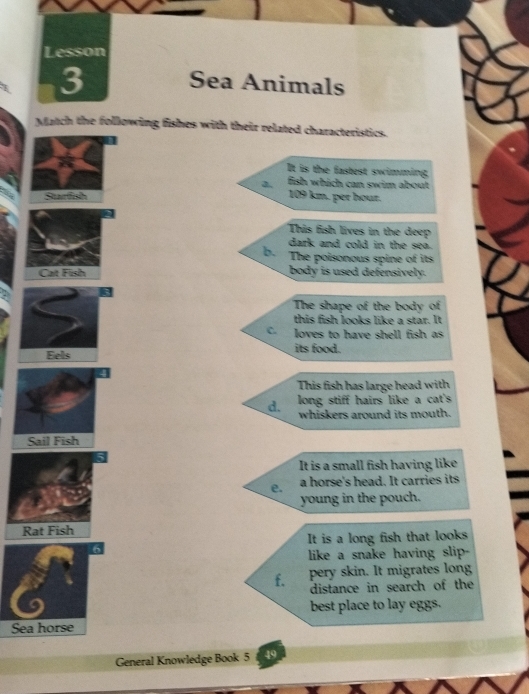 Lesson
3 Sea Animals
Match the following fishes with their related characteristics.
It is the fastest swimming,
fish which can swim about
Surfsh 109 km. per hour.
This fish lives in the deep
dark and cold in the sea.
b. The poisonous spine of its
Cat Fish body is used defensively.
The shape of the body of
this fish looks like a star. It
C loves to have shell fish as
its food.
This fish has large head with
d. long stiff hairs like a cat's 
whiskers around its mouth.
It is a small fish having like
e. a horse's head. It carries its
young in the pouch.
Rat Fish
6 It is a long fish that looks
like a snake having slip-
f. pery skin. It migrates long
distance in search of the
best place to lay eggs.
Sea horse
General Knowledge Book 5 49