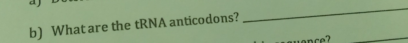 What are the tRNA anticodons? 
_