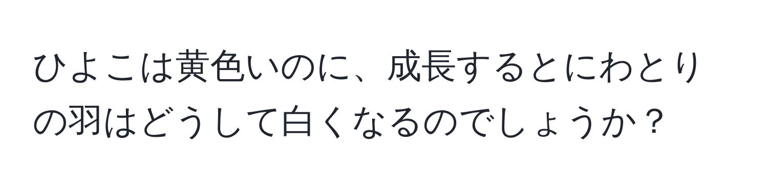 ひよこは黄色いのに、成長するとにわとりの羽はどうして白くなるのでしょうか？