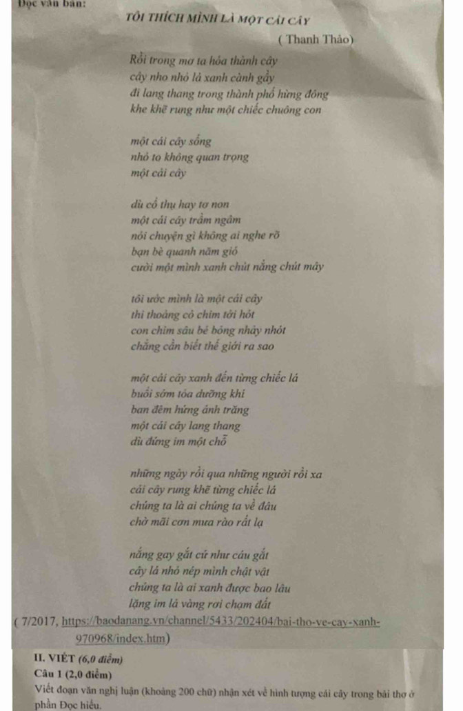 Đọc văn bàn: 
tôi thích mình là một cải cây 
Thanh Thảo) 
Rồi trong mơ ta hóa thành cây 
cây nho nhỏ là xanh cành gầy 
đi lang thang trong thành phổ hừng đồng 
khe khẽ rung như một chiếc chuông con 
một cái cây sống 
nhỏ to không quan trọng 
một cải cây 
dù cổ thụ hay tơ non 
một cái cây trầm ngâm 
nói chuyện gì không ai nghe rõ 
bạn bè quanh năm gió 
cười một mình xanh chút nắng chút mây 
tôi ước mình là một cái cây 
thì thoảng cỏ chim tởi hót 
con chim sâu bé bóng nhảy nhót 
chẳng cần biết thế giới ra sao 
một cải cây xanh đến từng chiếc lá 
buổi sớm tỏa dưỡng khi 
ban đêm hứng ánh trăng 
một cái cây lang thang 
dù đứng im một chỗ 
những ngày rồi qua những người rồi xa 
cải cây rung khẽ từng chiếc lá 
chúng ta là ai chúng ta về đâu 
chờ mãi cơn mưa rào rất lạ 
nắng gay gắt cứ như cáu gắt 
cây lá nhỏ nép mình chật vật 
chủng ta là ai xanh được bao lâu 
lặng im lá vàng rơi chạm đất 
( 7/2017, https://baodanang.vn/channel/5433/202404/bai-tho-ve-cay-xanh- 
970968/index.htm) 
II. VIÉT (6, 0 điễm) 
Câu 1 (2,0 điểm) 
Viết đoạn văn nghị luận (khoảng 200 chữ) nhận xét về hình tượng cái cây trong bải thơ ở 
phần Đọc hiểu.